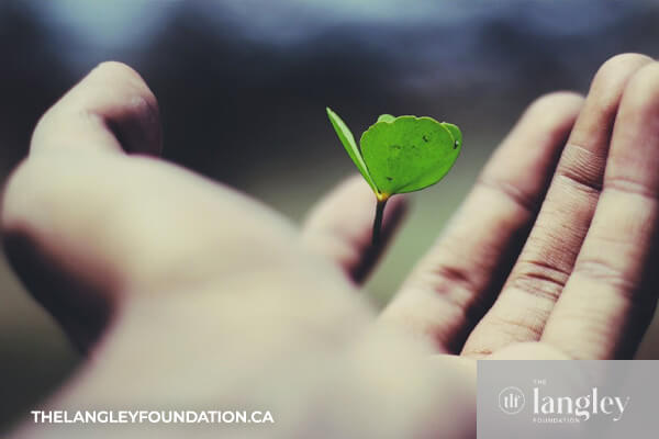 The Langley Foundation, Langley, BC - Planned Giving - Life Insurance