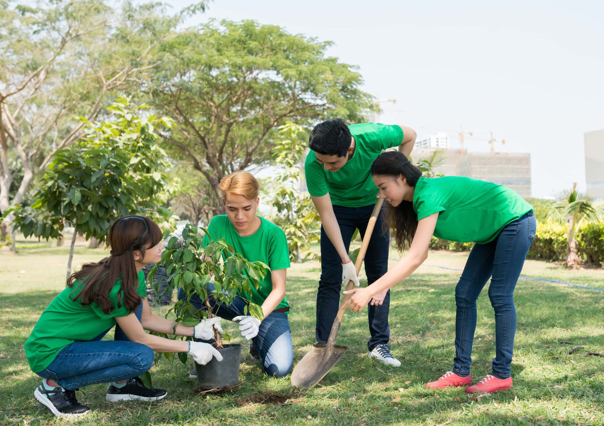 planting-trees-2026-01-07-07-01-29-utc (1)